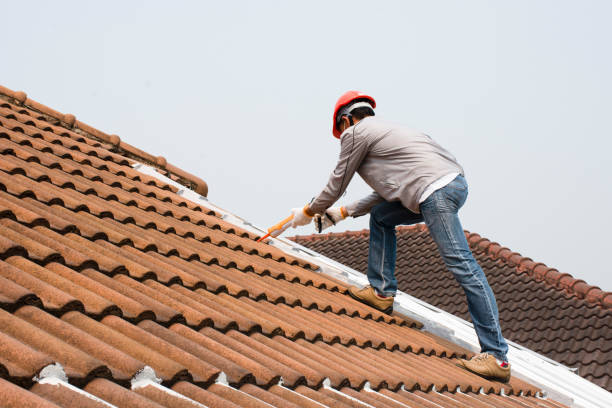 Best Asphalt Shingle Roofing  in Magnolia, NC