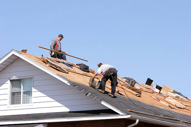Best Sheet Metal Roofing  in Magnolia, NC