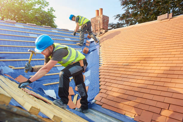 Best Roof Ventilation Installation  in Magnolia, NC